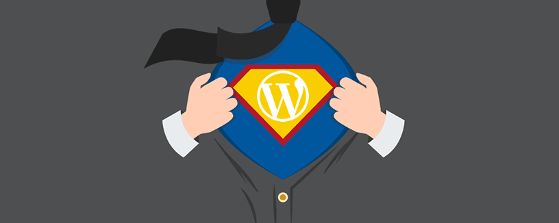 Mantenimiento de WordPress: WordPress Admin