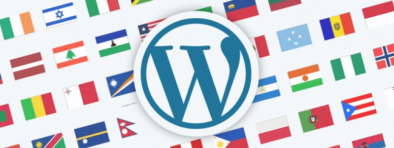 Cambiar el idioma en WordPress