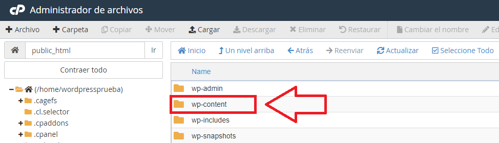 carpeta content solucionar pantalla blanca de la muerte en WordPress
