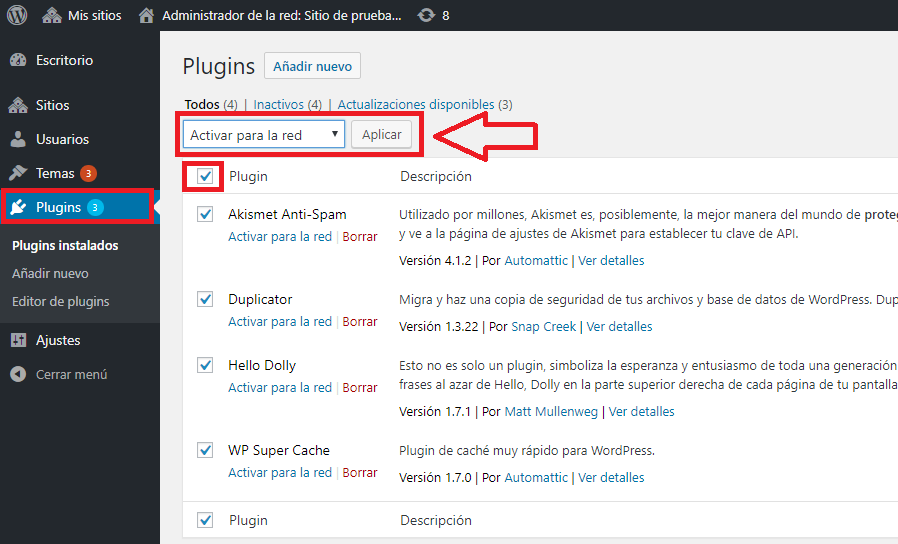 activar plugins en wordpress multisite