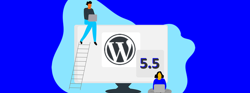 WordPress 5.5: Qué cambios trae consigo en su nueva version