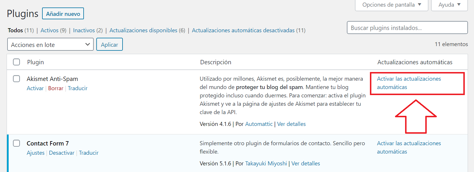 wordpress 5.5 actualizar cambios