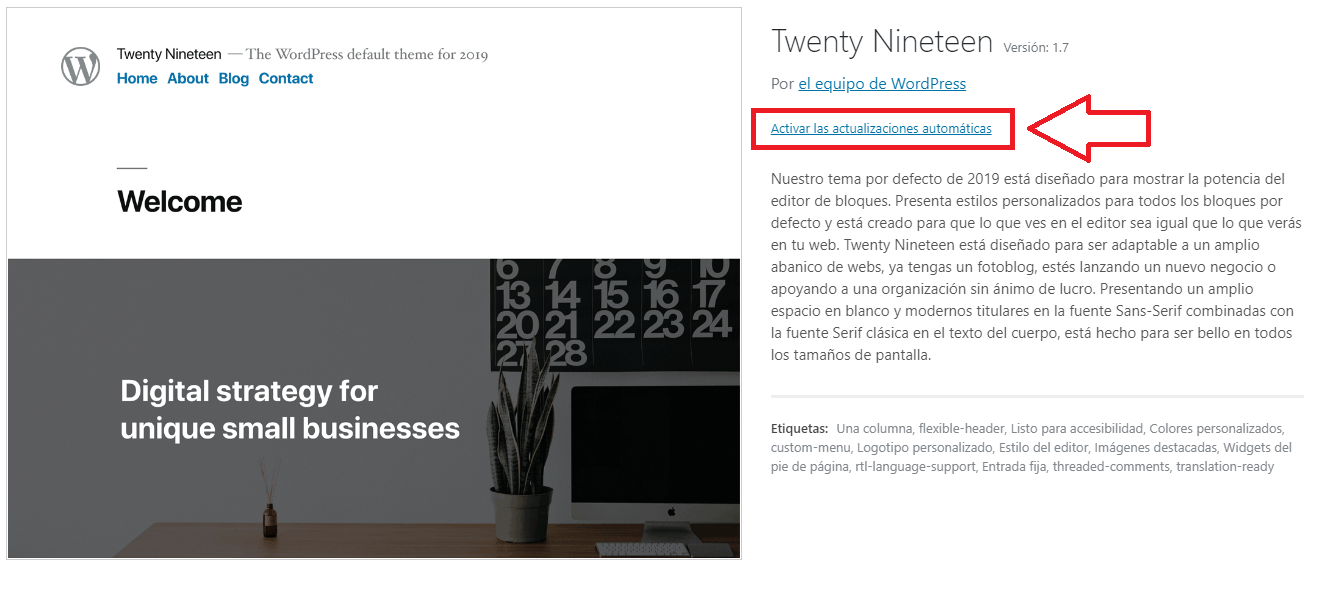 wordpress 5.5 actualizacion automatica tema