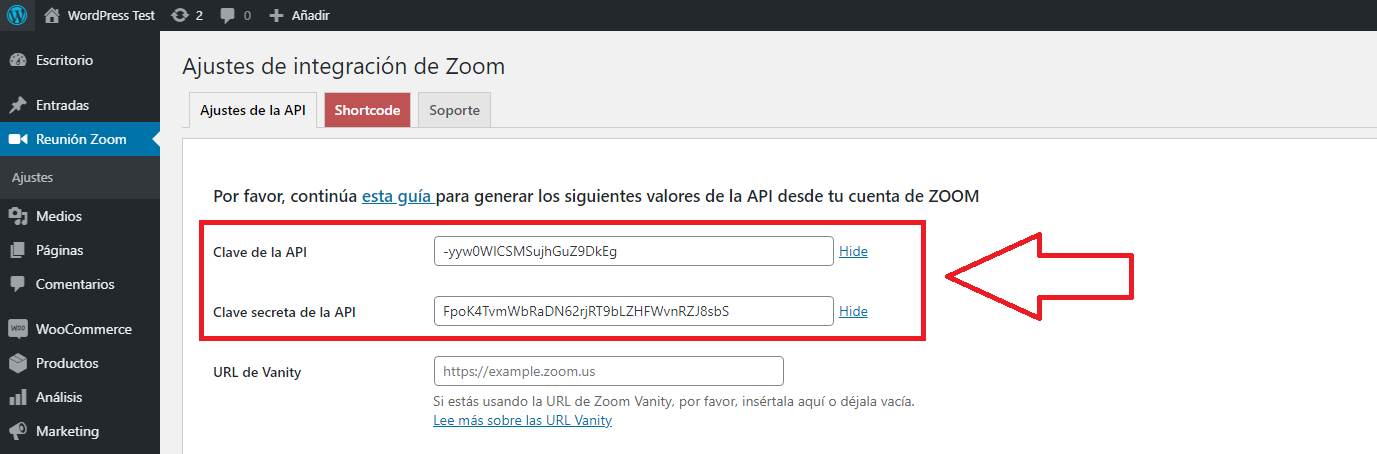 integrar instalar zoom wordpress pegar detalle