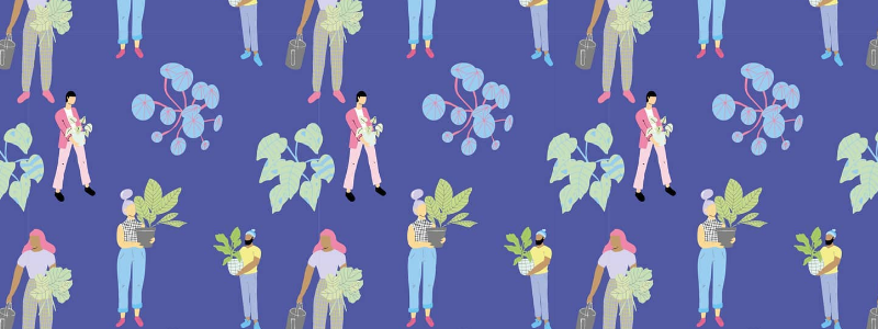 Por qué incorporar plantas a tu espacio de trabajo