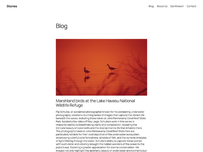 Twenty-Twenty-Five theme wordpress 6.7