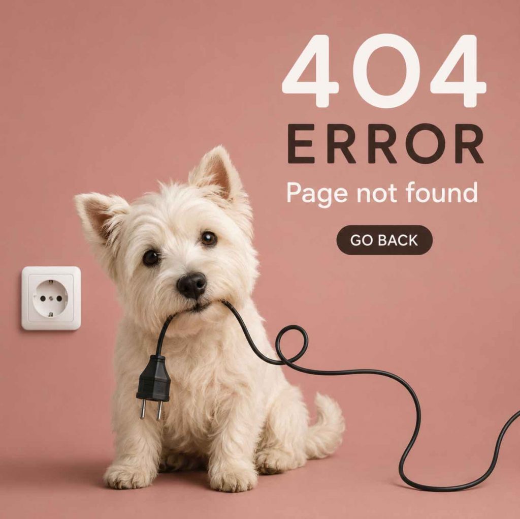 Conoce por que aparece el error 404 y como corregirlo